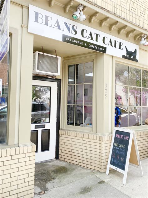 cat cafe beacon ny  325 Main St, Beacon, NY 12508